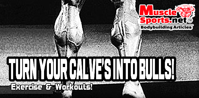 Turn your Calve's into BULLS
